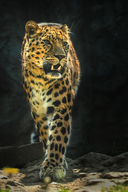 Dawn Garza tweet media