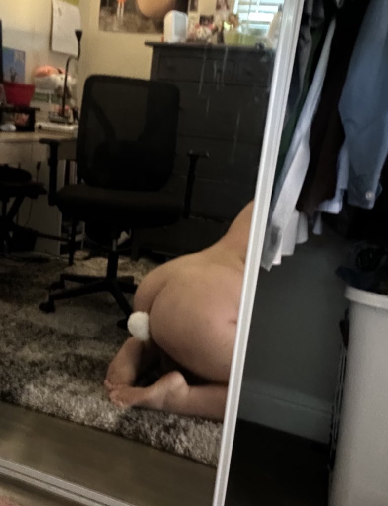 ૮･ﻌ･ა sam tweet media