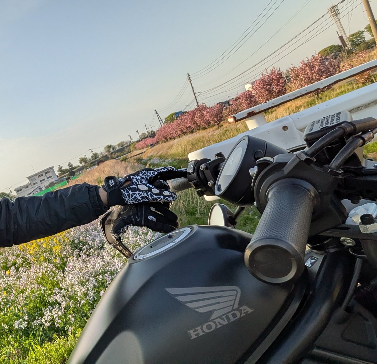 はるまき tweet media