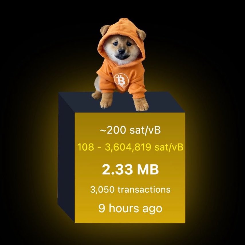 Leonidas 🧡 $DOG tweet media