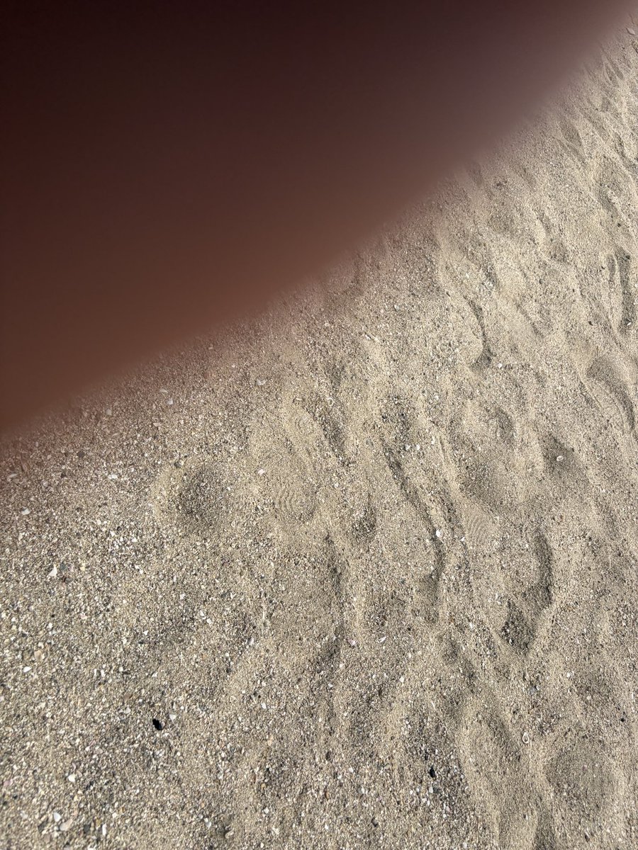 山科晃一(KOICHI YAMASHINA) tweet media