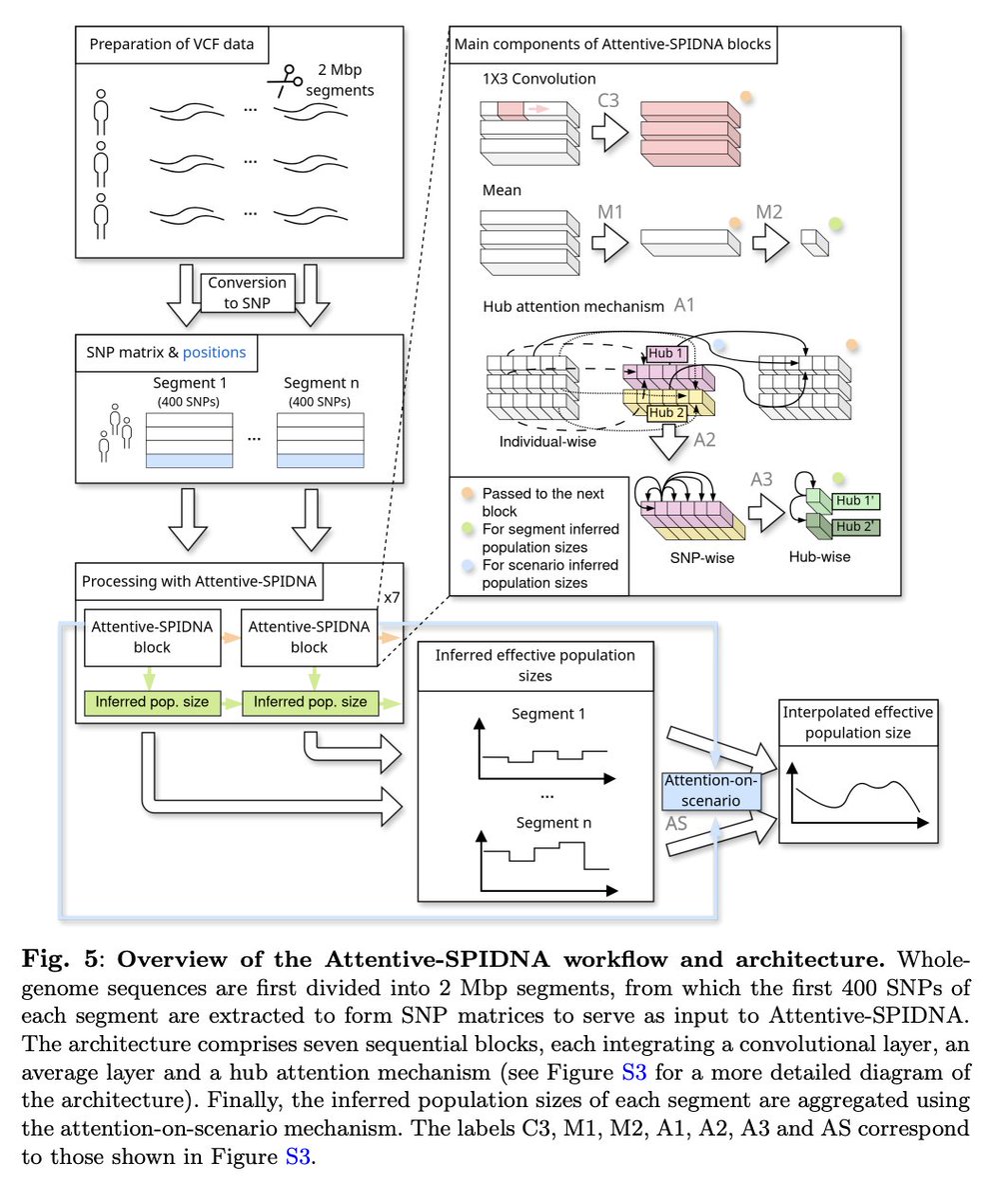 Daniel Tabin tweet media