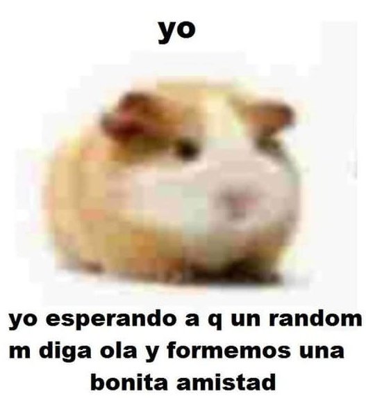 Evernight'nt tweet media