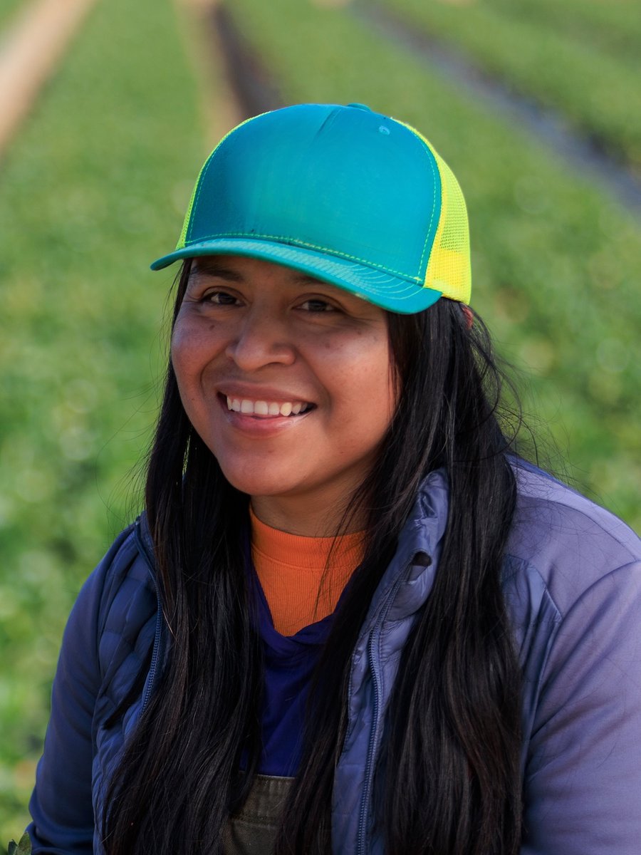 CA Strawberries tweet media