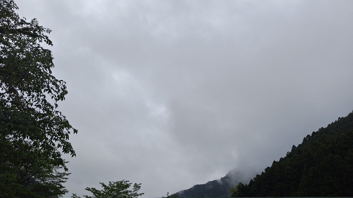 ryueig's tweet photo. おはようございます。
雨は上がっています https://t.co/fvIzV3WYCx