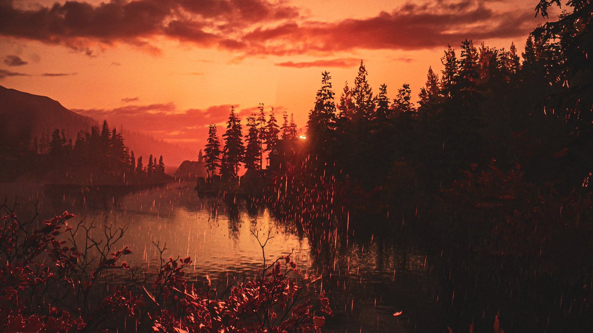 Ally 🧸​🎀​ | DivineVP tweet media