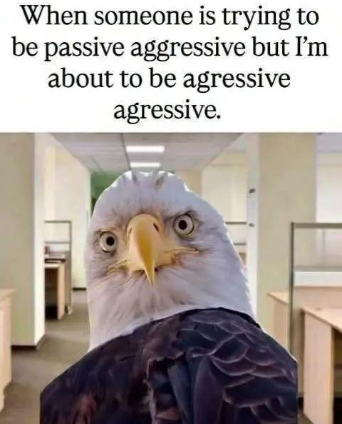 Raw, American rage 🇺🇸🦅