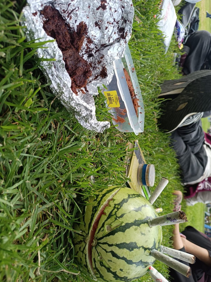 feminancy tweet media