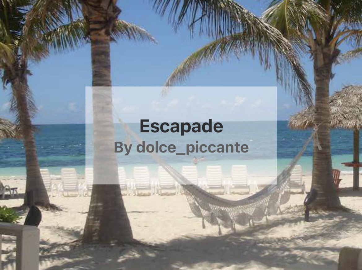 Softgoods tweet media