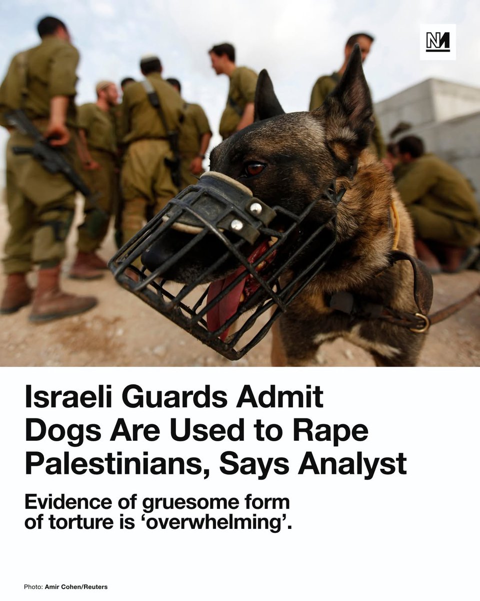 wrldmuslim's tweet image. This is #Israel ! PURE EVIL! #Palestine