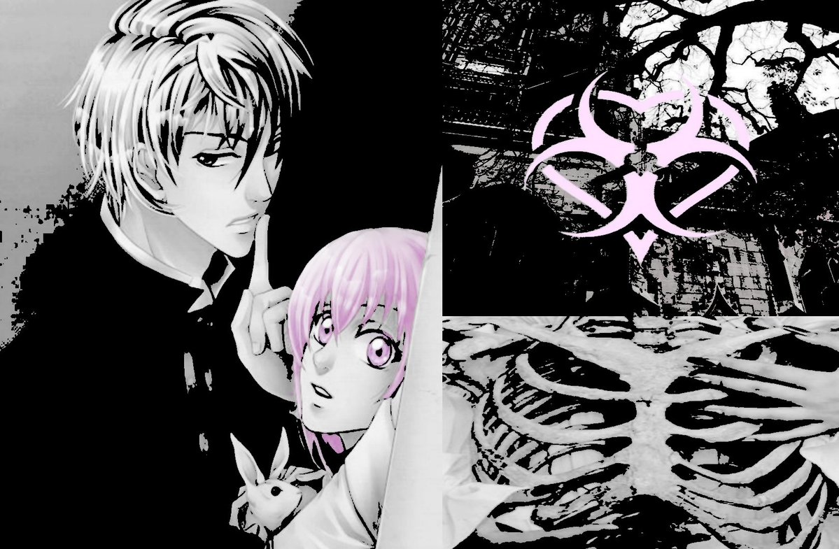 ali 𓏲ּ𝄢 tweet media