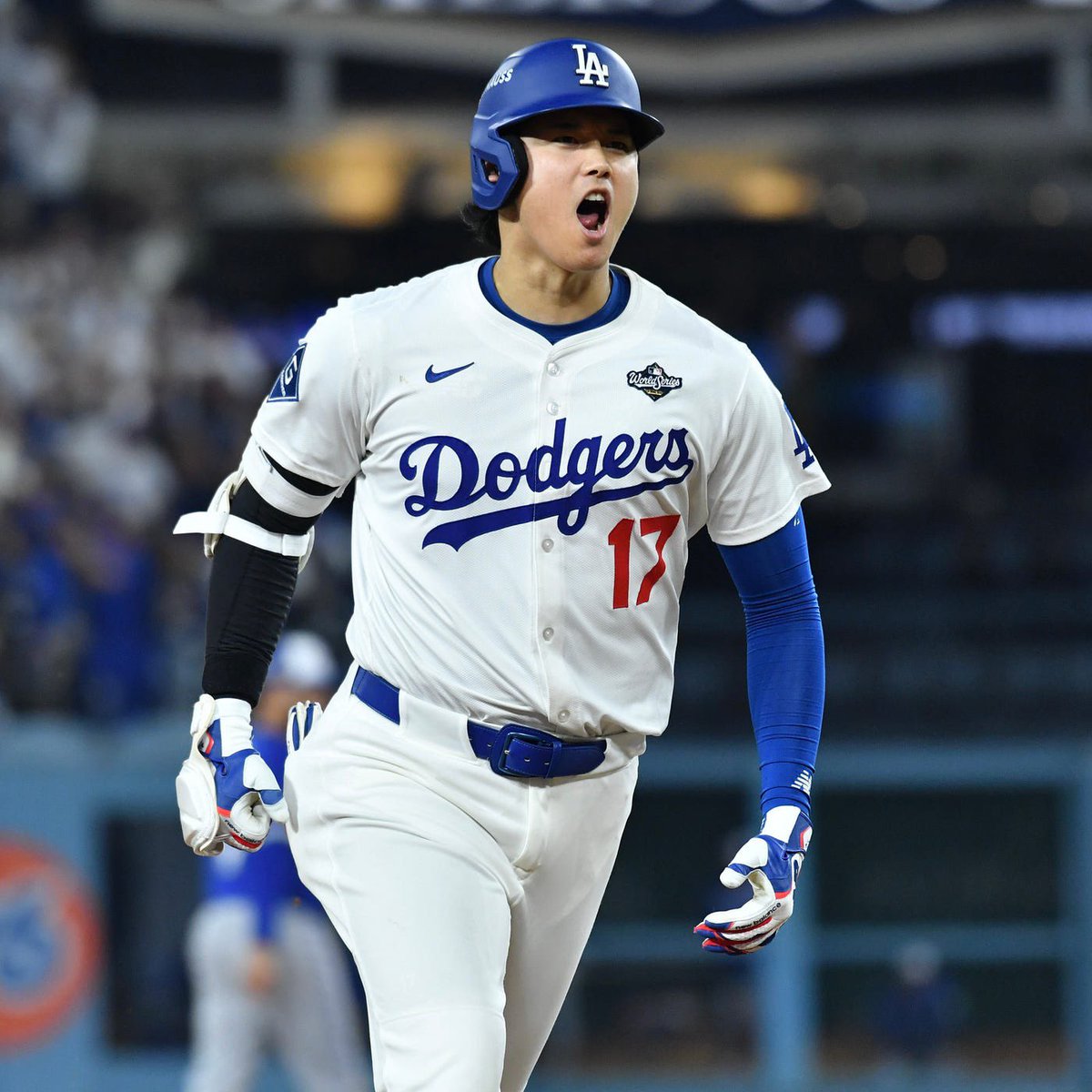 Big Gorilla Bets🦍 tweet media