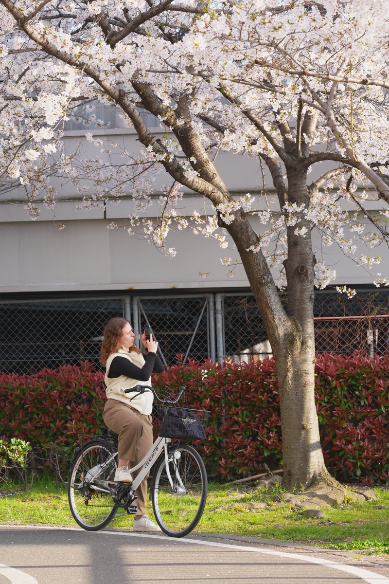mike0613's tweet image. #街撮り
#SonyAlpha 
#α7V
#桜
#大阪
