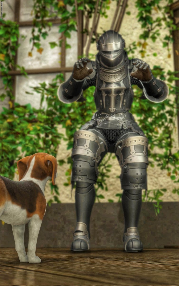 まふぃん/べりあす tweet media