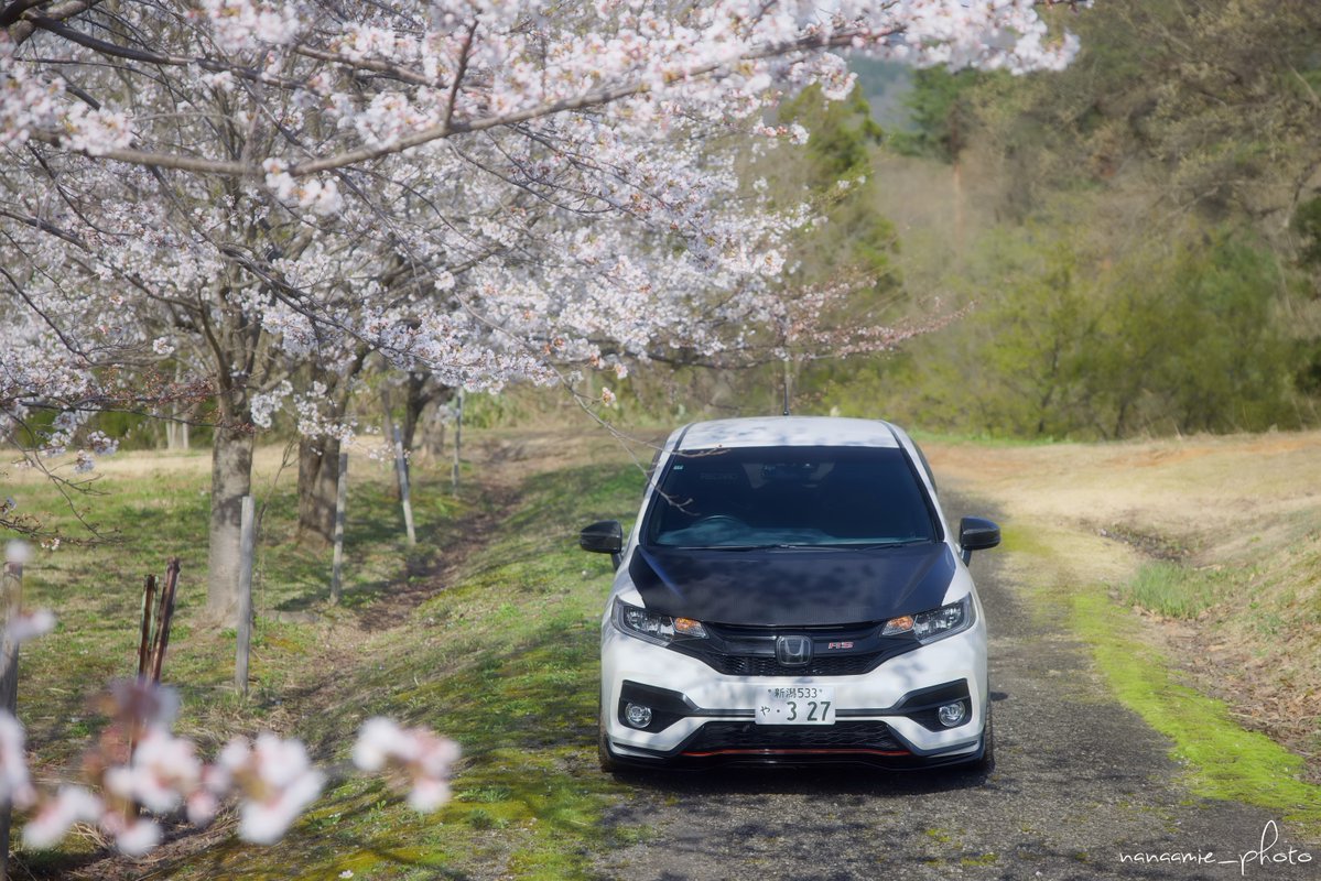 nanaamie_rill's tweet image. おはようございます🌸
#桜と愛車
#FIT #GK5