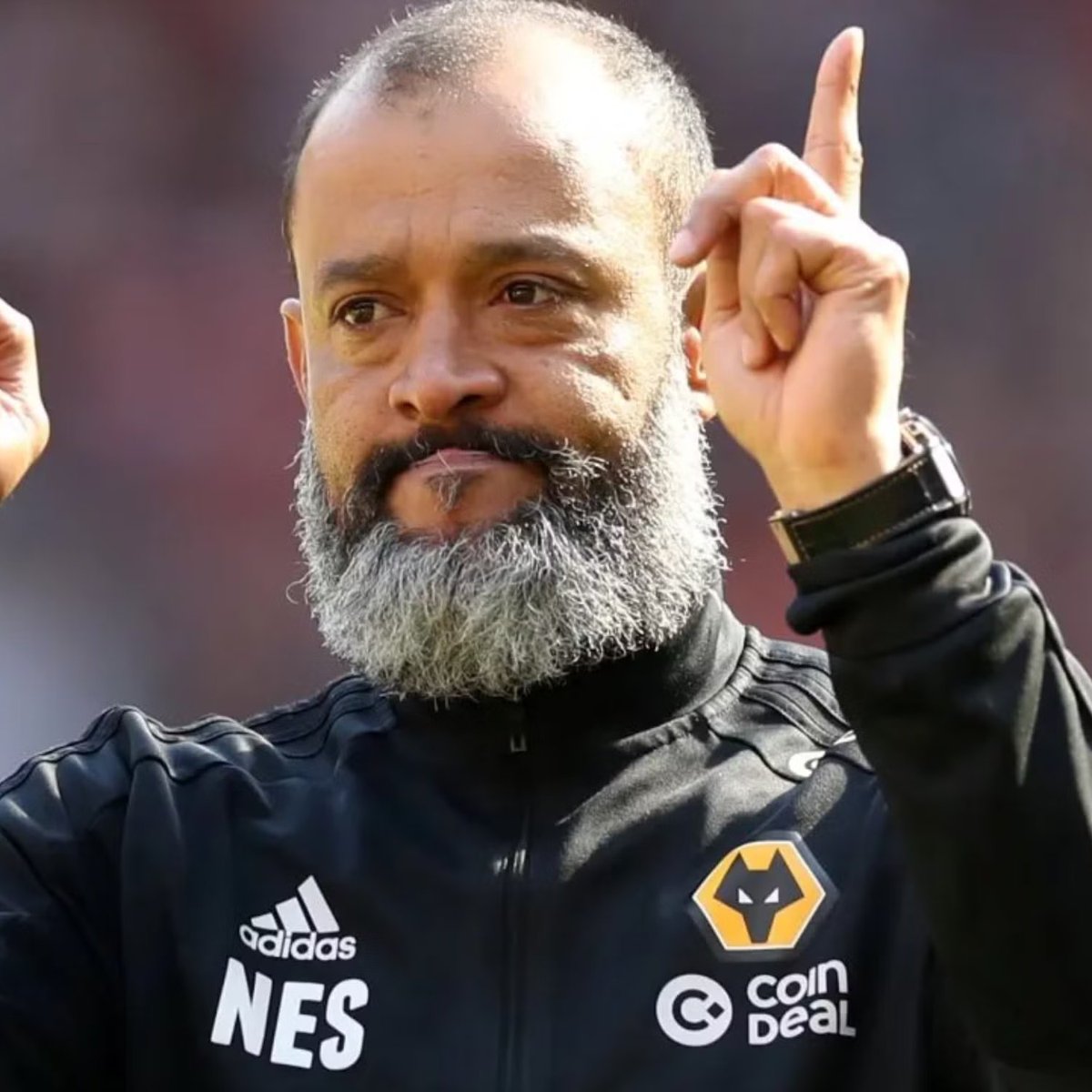 Wolves Actu France 🐺🇫🇷 tweet media