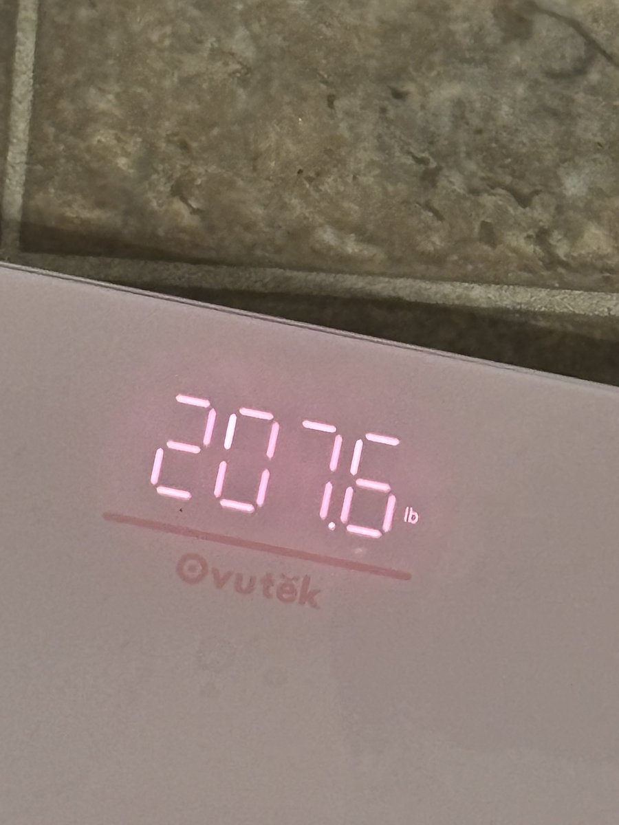 pusheen of edtwt FOLLOW BLOCK:( tweet media