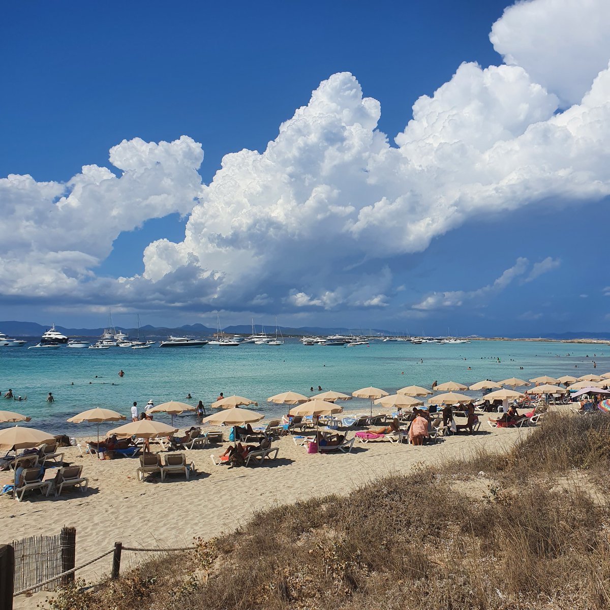 FaustineVvs's tweet photo. #formentera#😝 https://t.co/aEYPWp2zmC