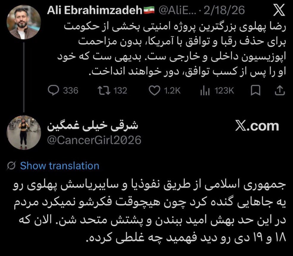 شیرزاد tweet media