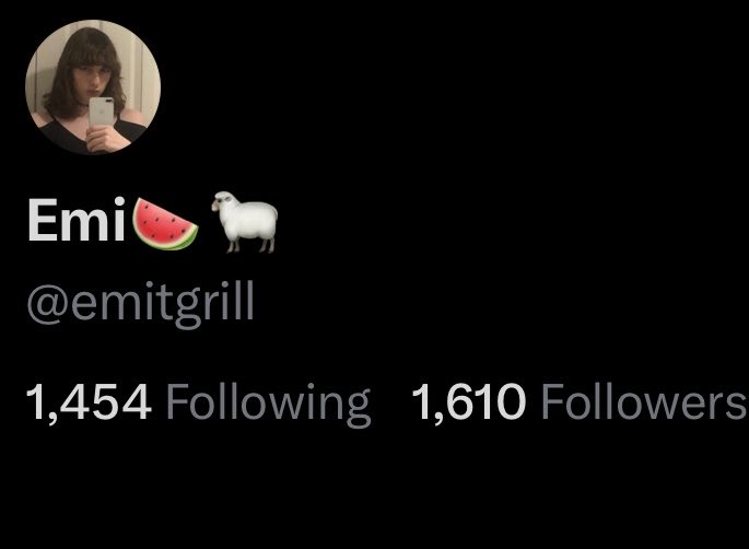 Emi🍉🐑 tweet media