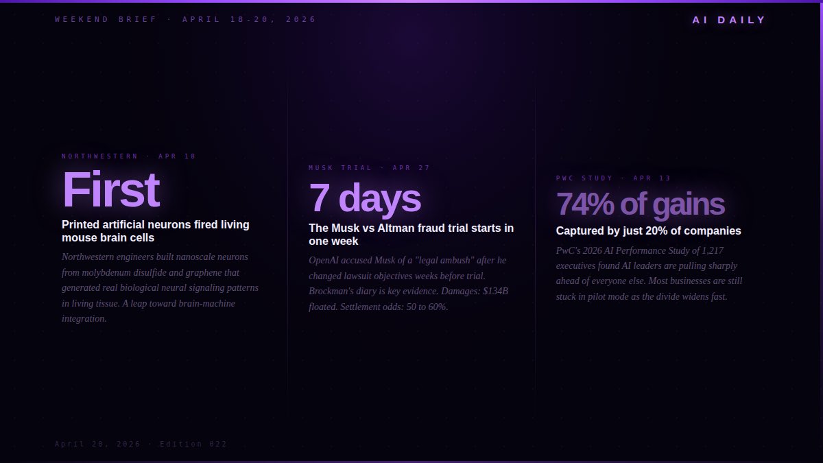 Joseph L. 🏴‍☠️ tweet media