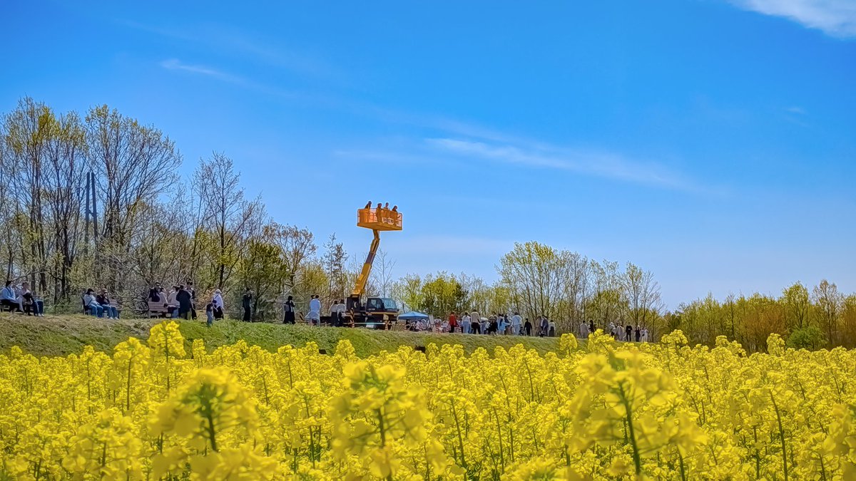 マコ@Portrait•photo/Red Bull 3 tweet media