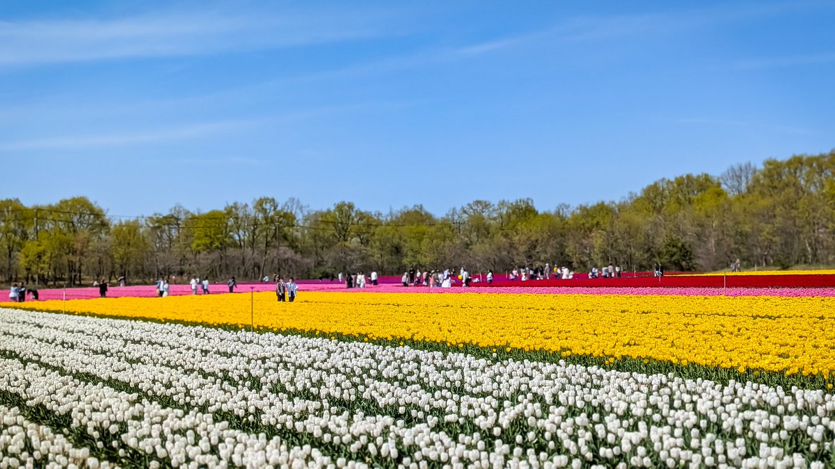 マコ@Portrait•photo/Red Bull 3 tweet media