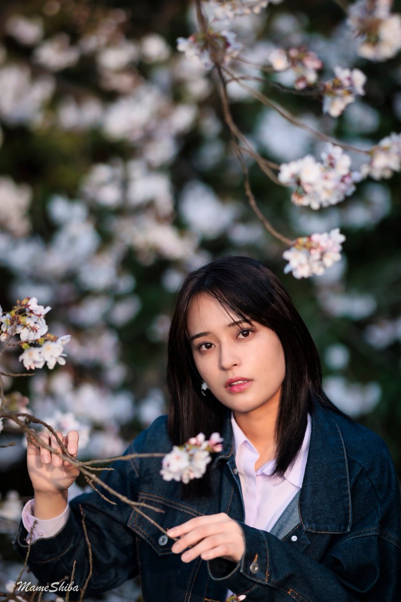 まめしば tweet media