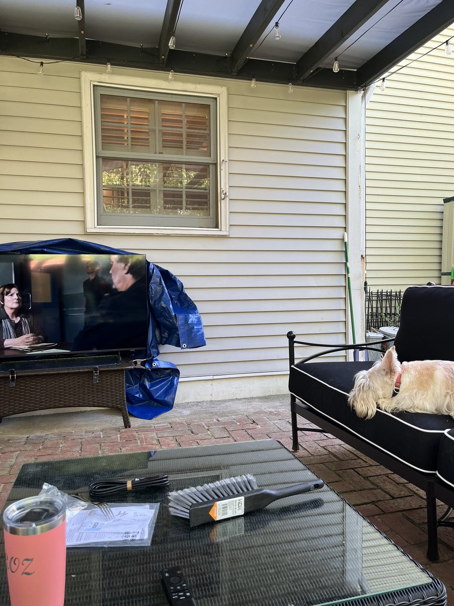 rozcar28's tweet image. Bertie now gets to watch Vera on the patio! #Dogs #Scottishterrier #OutsideTV #VeraFan