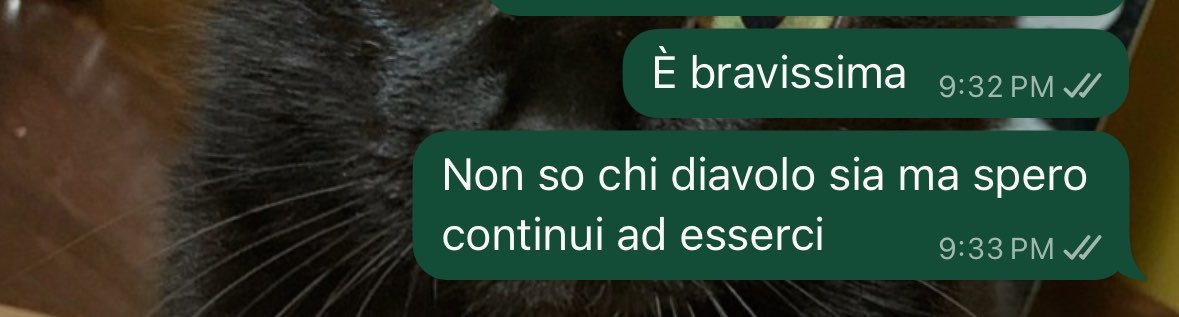 Io a metà episodio: