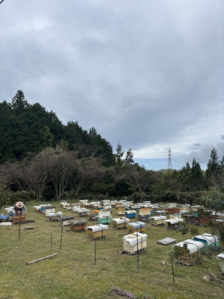 おはようございます🍯🐝🥰
島根県浜田市の今朝は、晴れ

思わずうちだってシリーズに投稿しました
それも冬😅
現在の巣箱は、こんな感じです

#企業公式が毎朝地元の天気を言い合う