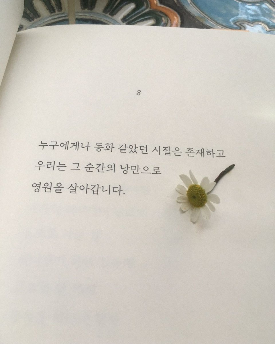 자몽🍋 | WGT.🤝 tweet media