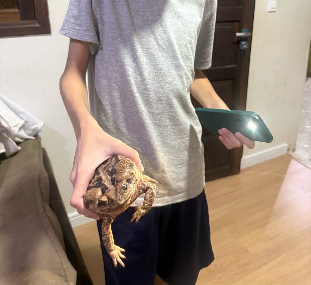 Vênus and The Bad Seeds tweet media