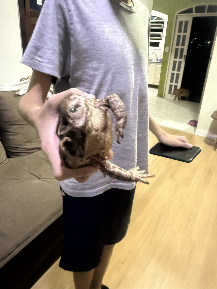 Vênus and The Bad Seeds tweet media