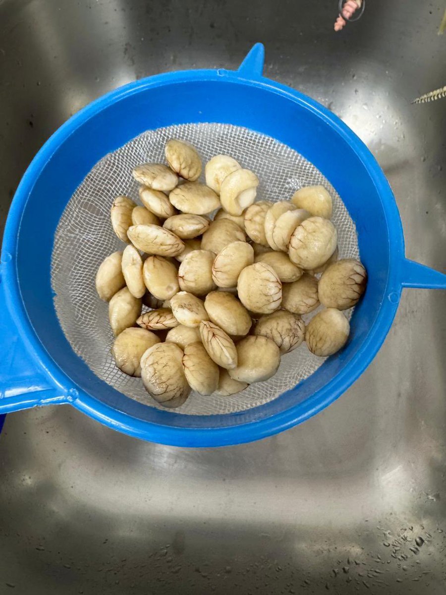 INIAPECUADOR's tweet photo. Además, se trabaja en la elaboración de harina para pan de Sacha Inchi, evaluando su calidad nutricional. Con ello, se promueve el cultivo y se incentiva a más productores a incorporarlo en sus sistemas productivos.

#ElNuevoEcuador https://t.co/Q3YjQqR8Fx