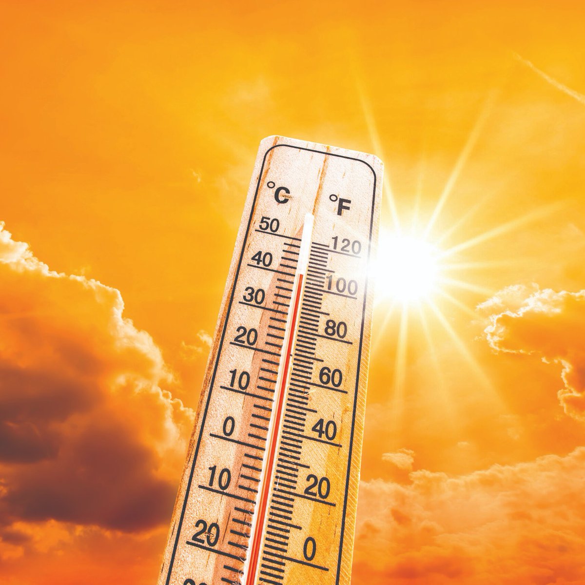 UpdateCharts tweet media