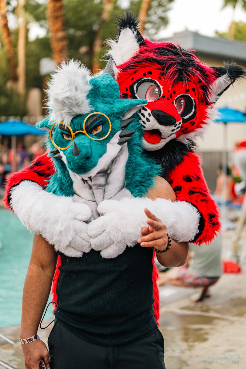 LostyWolf (❤️) LVFC tweet media