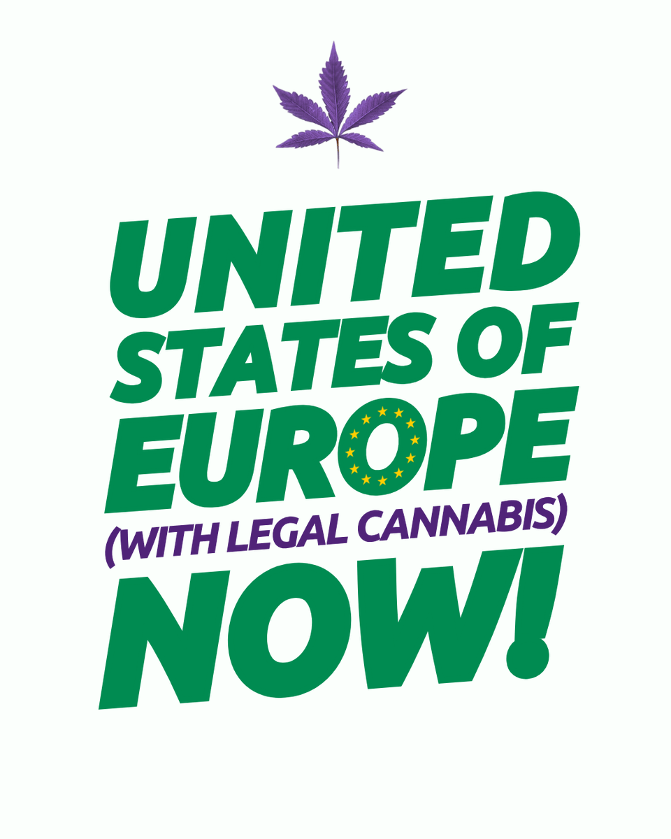 Volt Europa tweet media