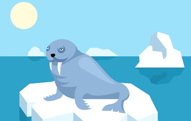 Jekson Young tweet media