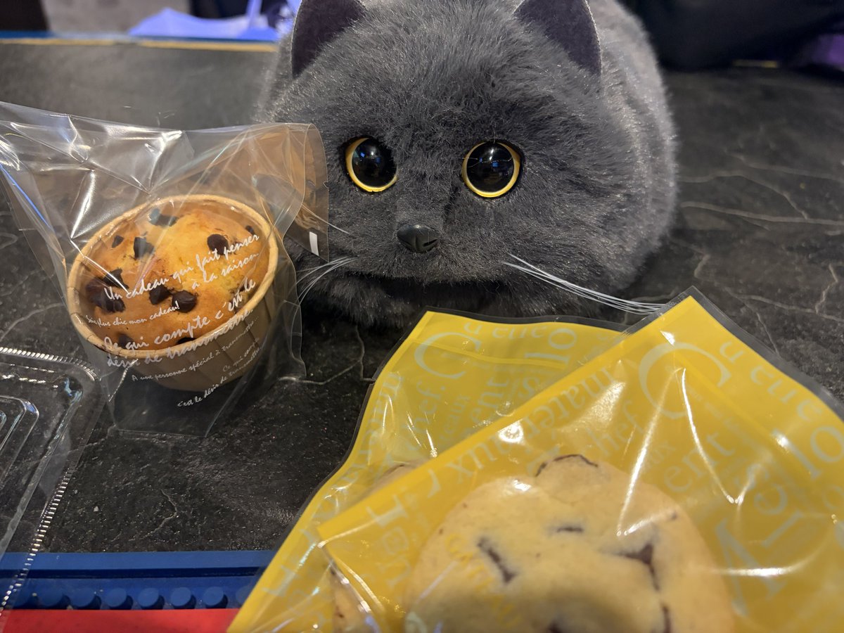 せんちゃ㌠4/25卒業🍵 tweet media