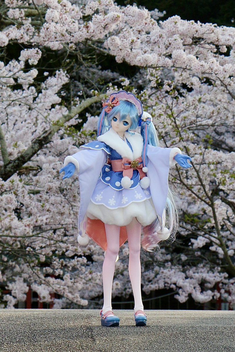 岳＠サクラ🌸 tweet media