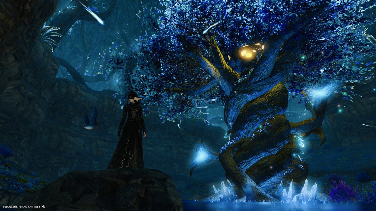 #FF14SS
 #FF14キャラ入り風景SSの会