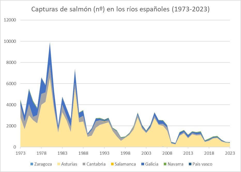 Juan José García del Hoyo tweet media