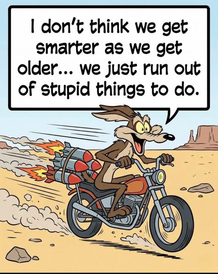 SPKlein52's tweet image. I don't think we get smarter as we get older... we just run out of stupid things to do.
#stupid #smart #old #smarter #older #things
