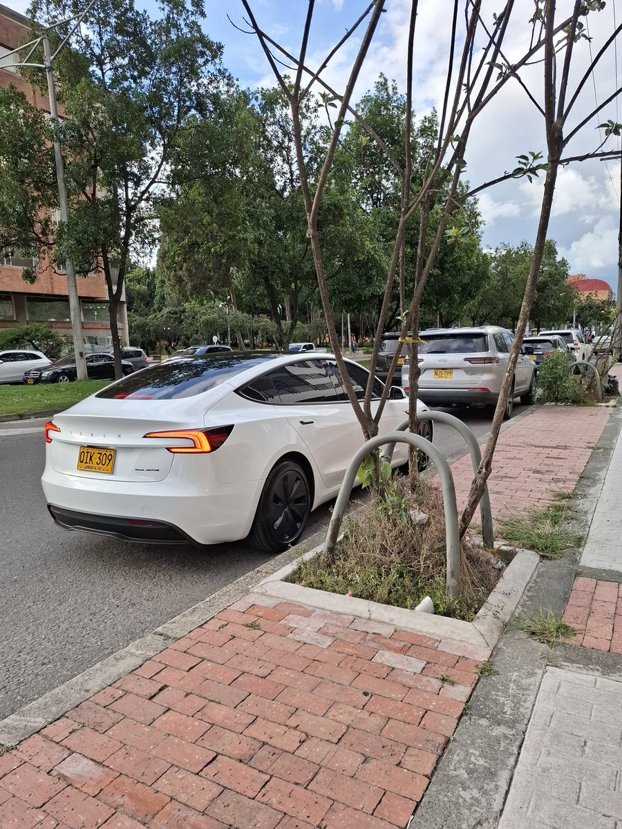 Carolina Jaramillo S tweet media