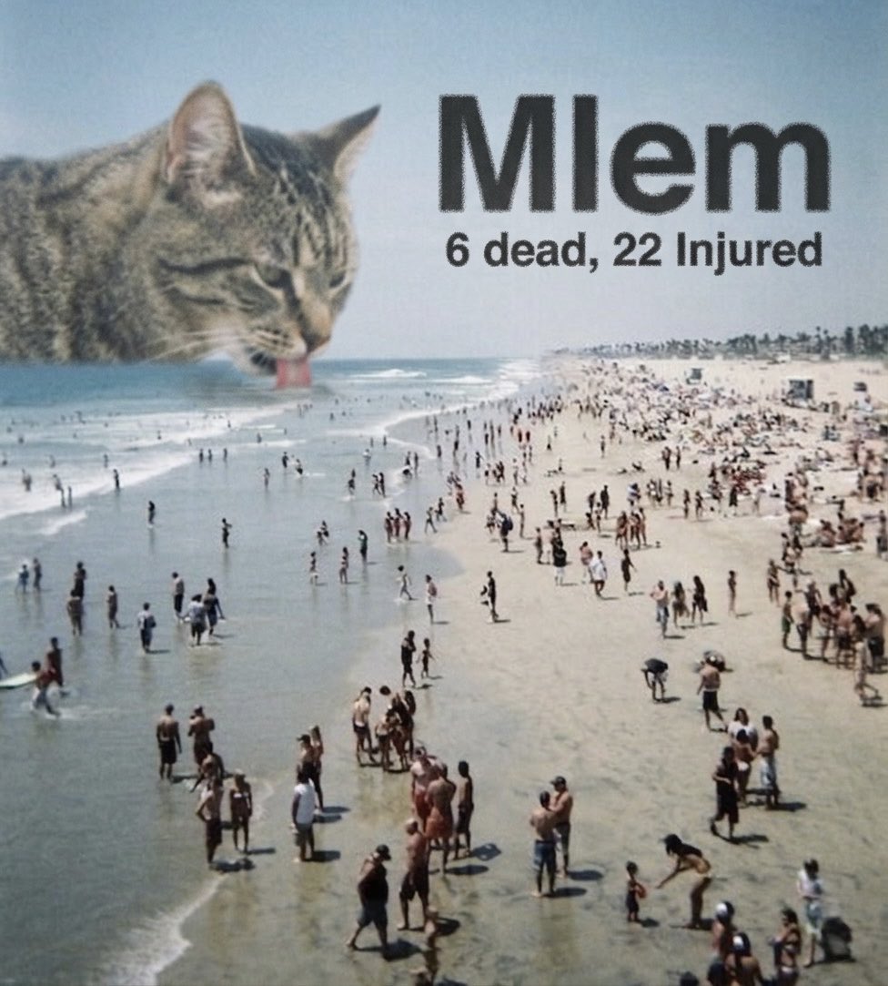 cat memes tweet media