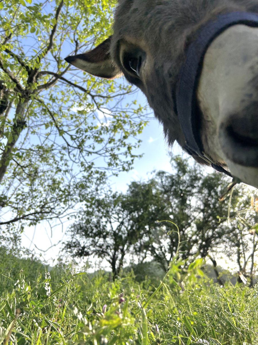 ツルキミ tweet media