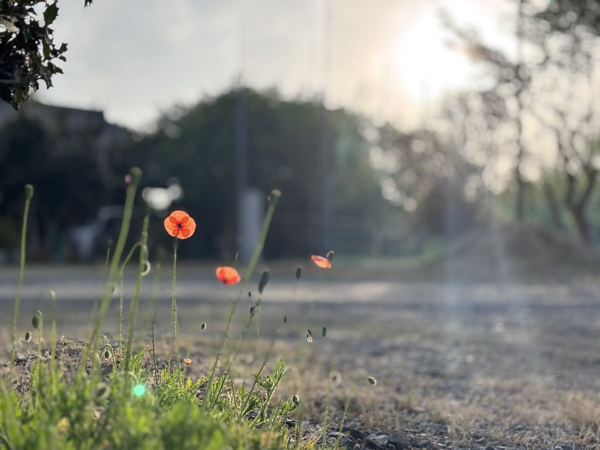 ㄘ ­ ד֝ժ՝ 🔰꒰՞ɞ̴̶̷̥⩊ɞ̴̶̷̥꒱֯🍼︎ tweet media