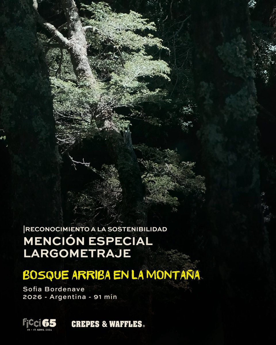 Festival Internacional de Cine de Cartagena tweet media