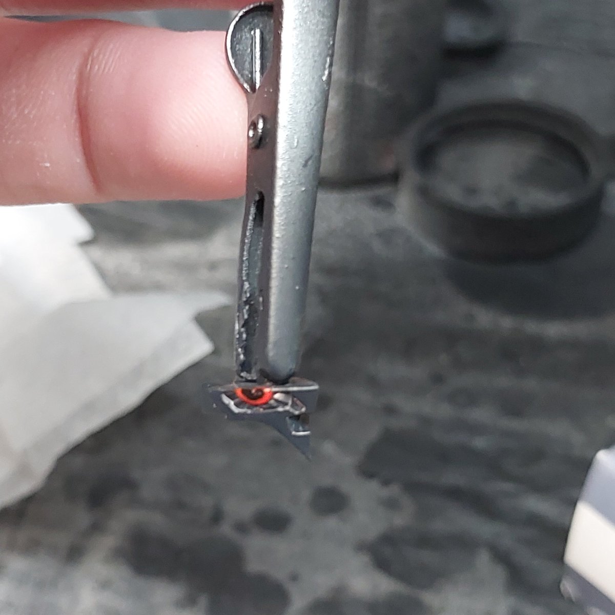 サンゴショウ tweet media